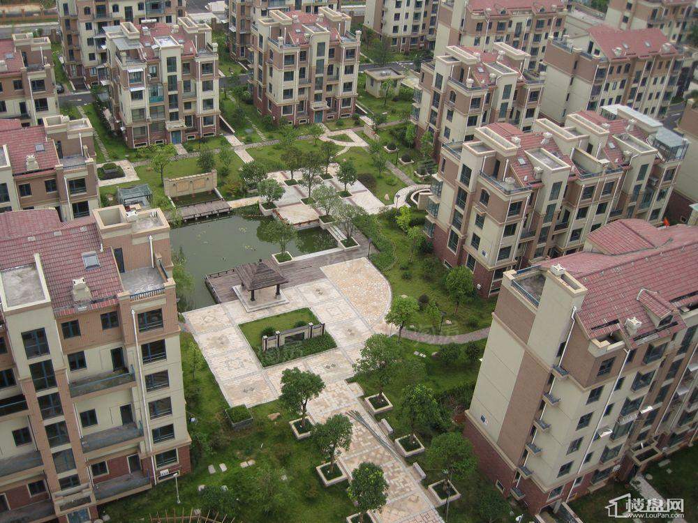 实景图