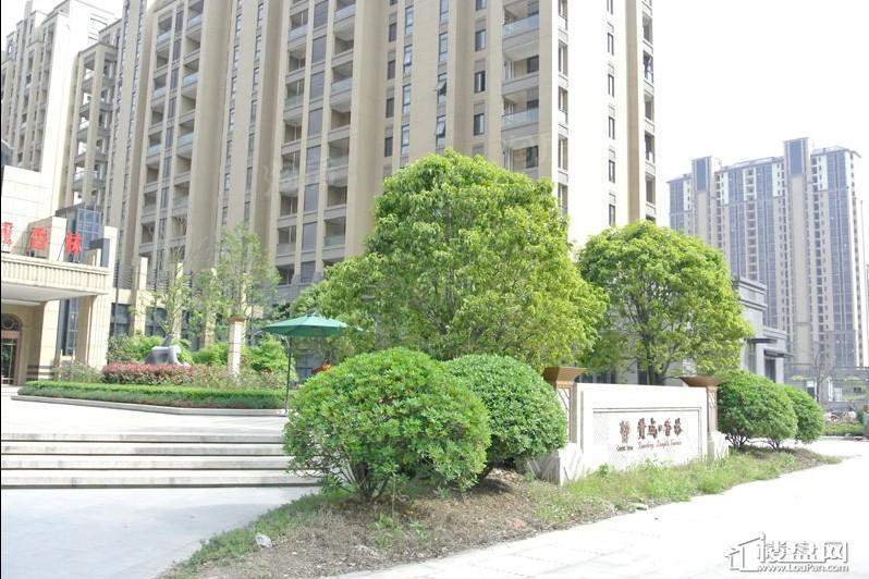 赞成香林实景图