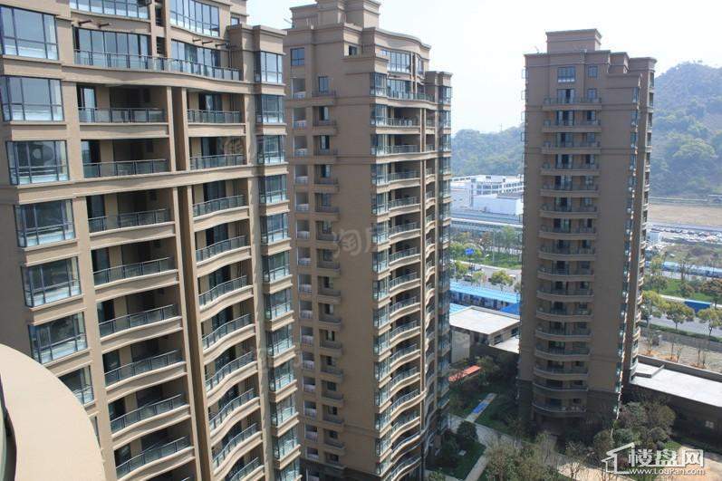 日顺汇锦园实景图