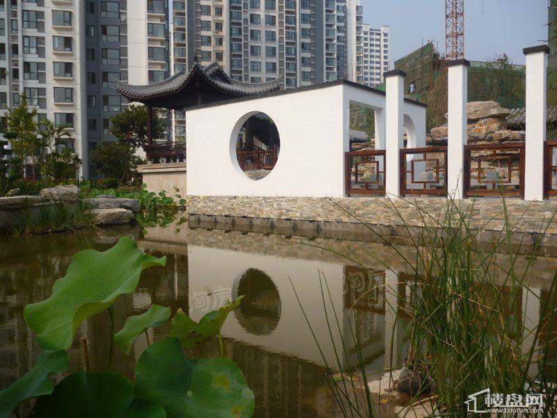 沽上江南实景图