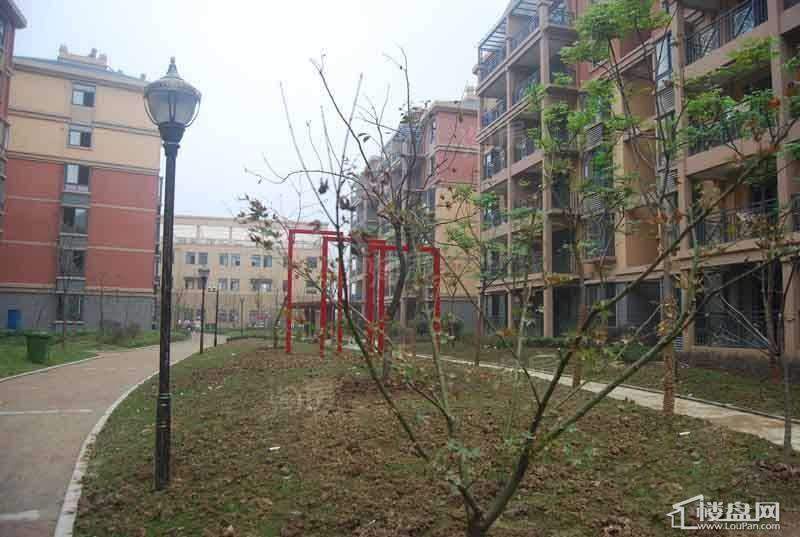 盛世新城实景图