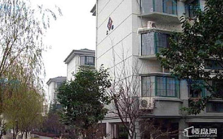 滨河苑小区实景图