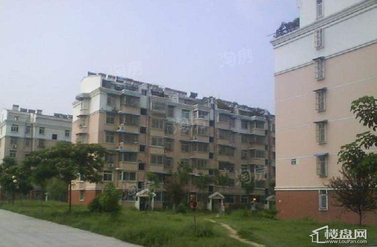 滨河苑小区实景图