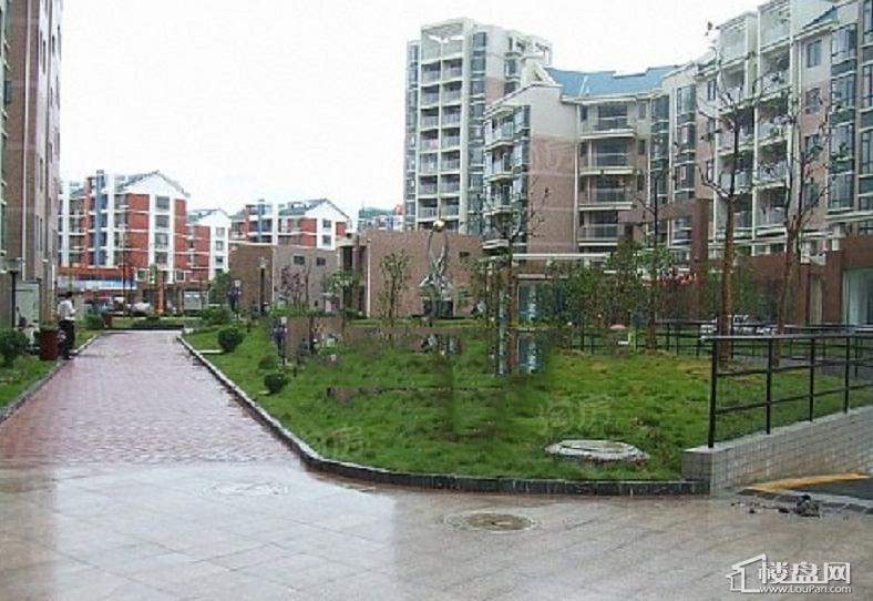 滨河苑小区实景图