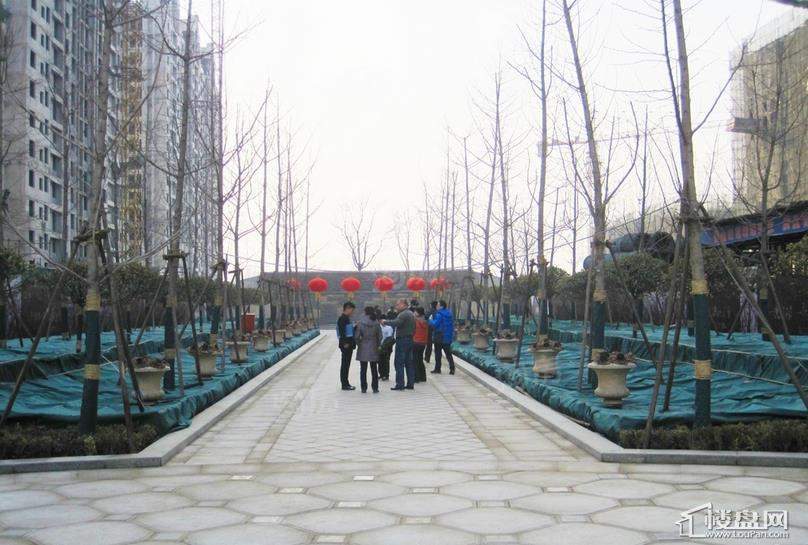 和美紫晶花园实景图