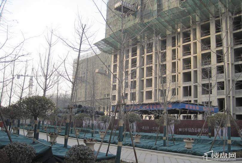 和美紫晶花园实景图