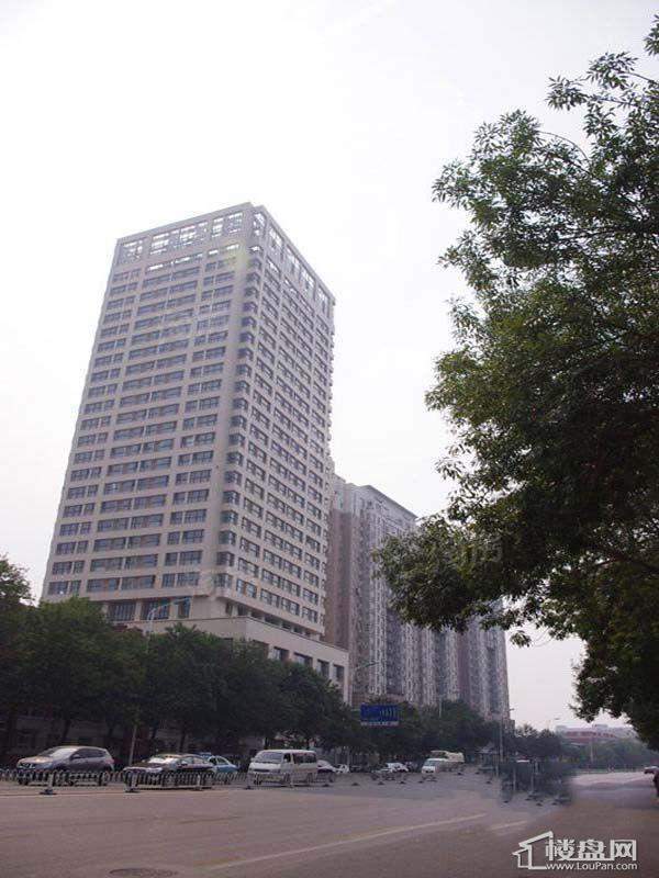 实景图