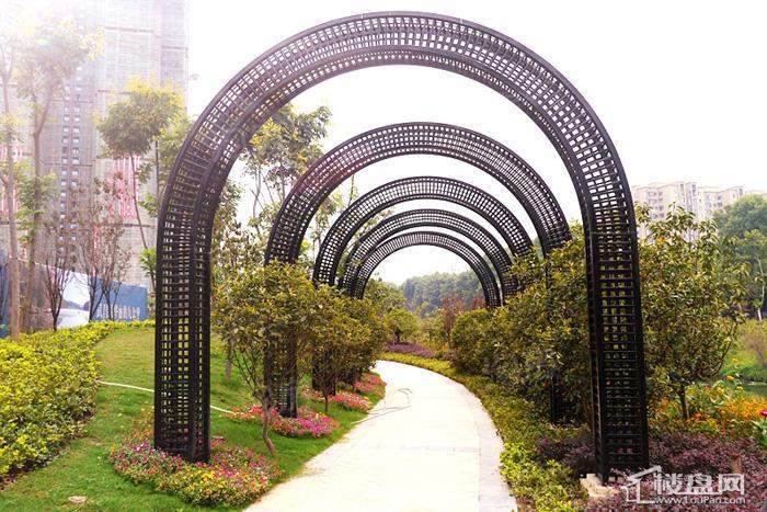 实景图