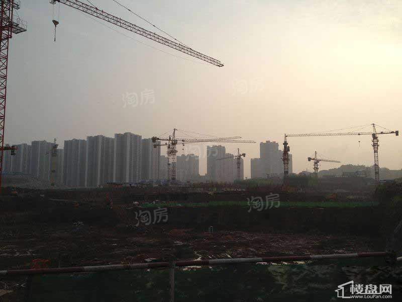 实景图