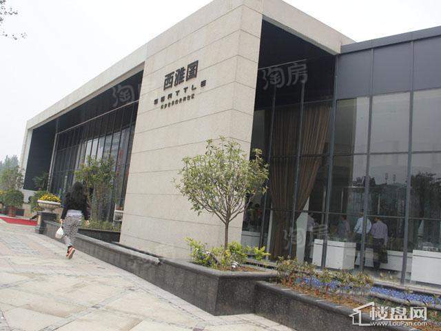 西雅图实景图