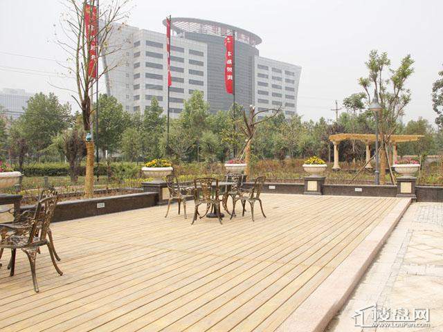 西雅图实景图