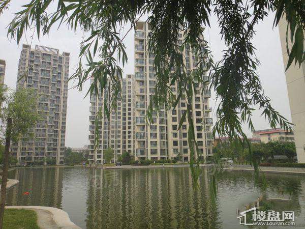 泽天下实景图