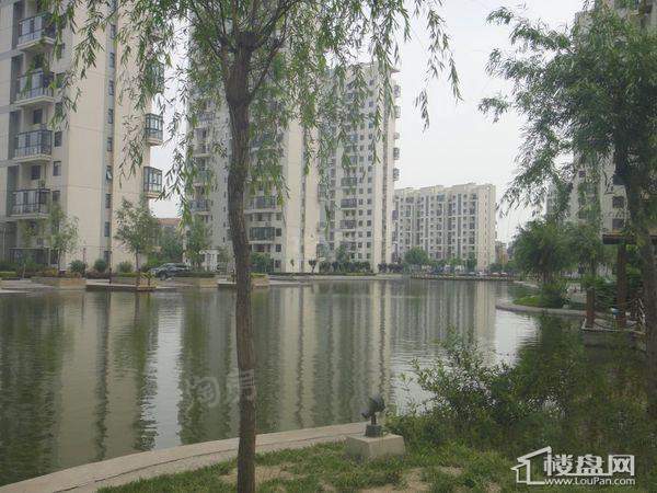 泽天下实景图