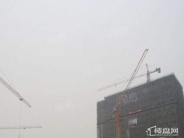 实景图