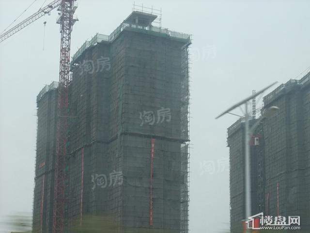 浩创梧桐郡实景图