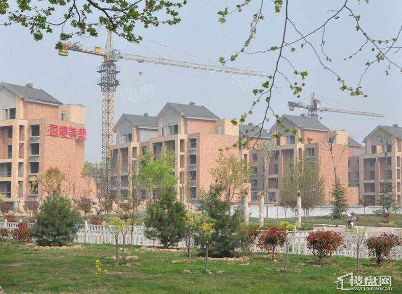 香堤美墅 实景图