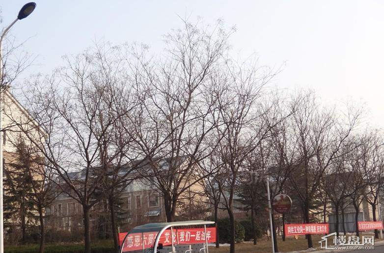 普利艾伦庄园  实景图