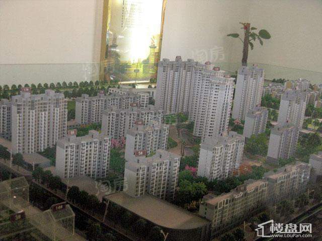金帝新生活实景图