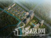 龙金首府效果图