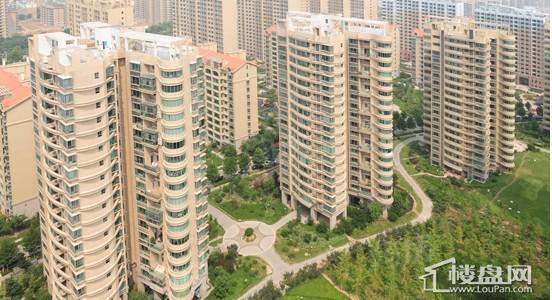 黄金国际效果图