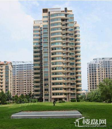 黄金国际效果图