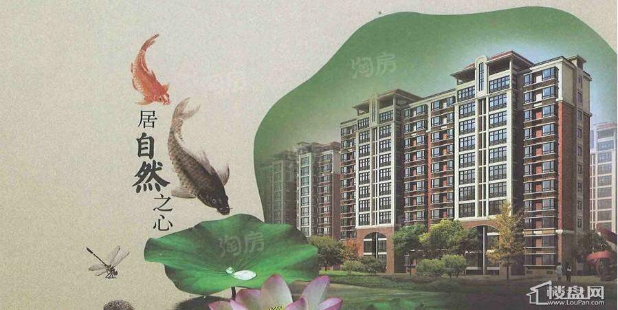 效果图