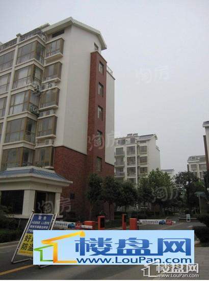 金润和谐居效果图