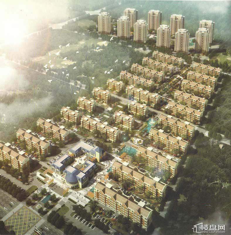 松江东湖小镇效果图