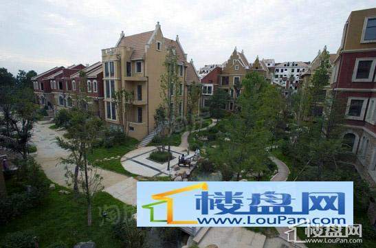 伊琳都铎庄园效果图