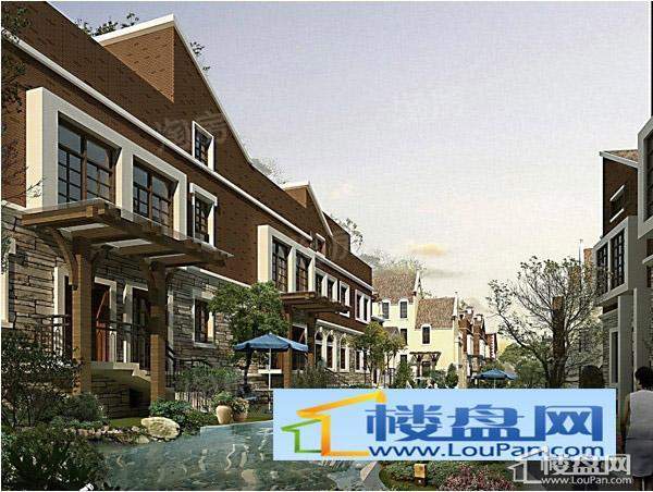 伊琳都铎庄园效果图