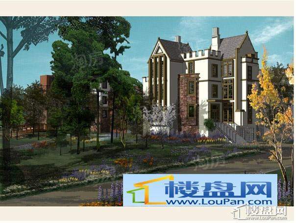 伊琳都铎庄园效果图