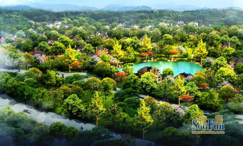 九龙依云配套图