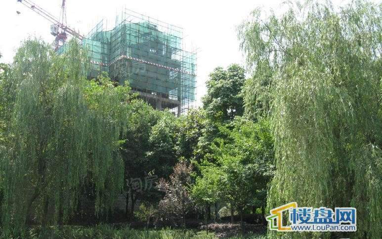 大鼎湖滨印象配套图