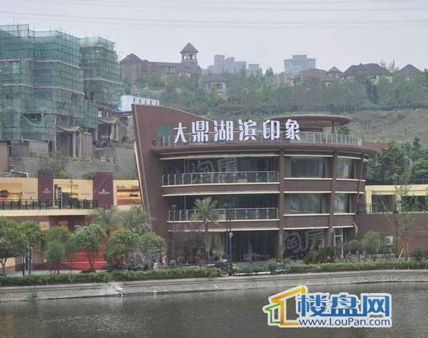 大鼎湖滨印象配套图