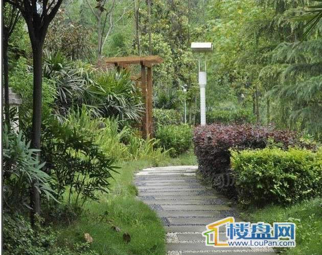 大鼎湖滨印象配套图