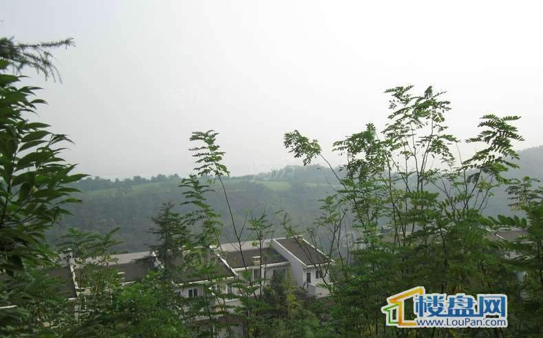 水天花园云麓悦湖配套图