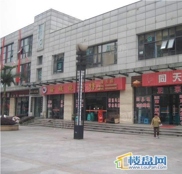 兴茂盛世国际配套图