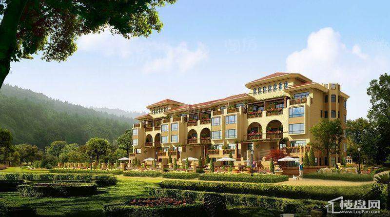 野风·启城配套图