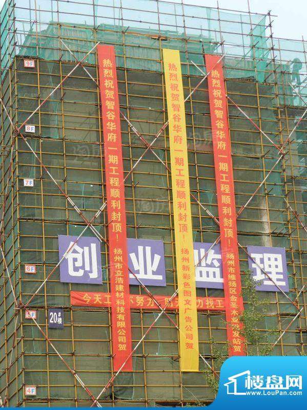 智谷华府配套图