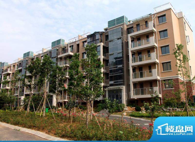 凤凰花园配套图