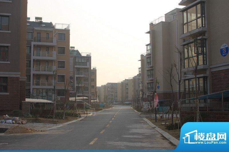 凤凰花园配套图