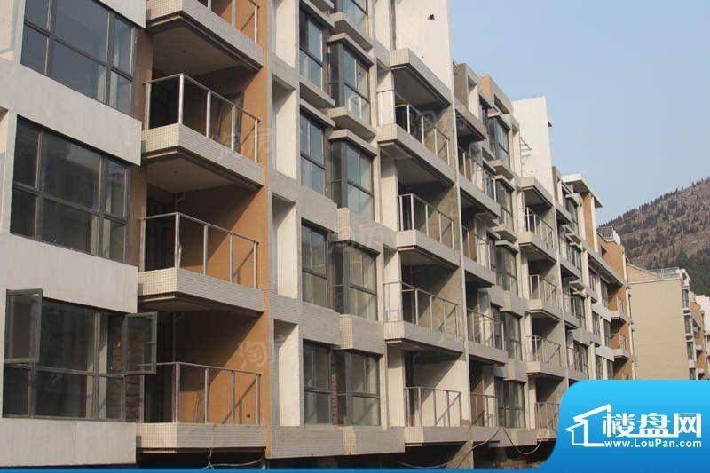 凤凰花园配套图