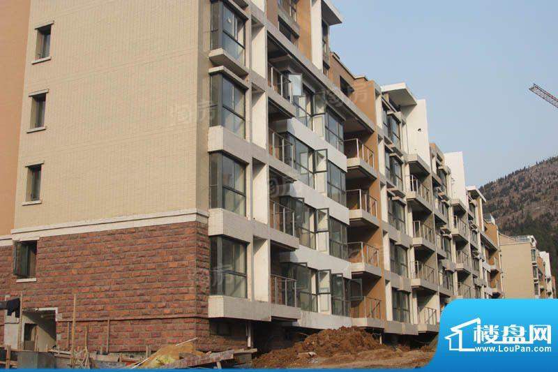 凤凰花园配套图