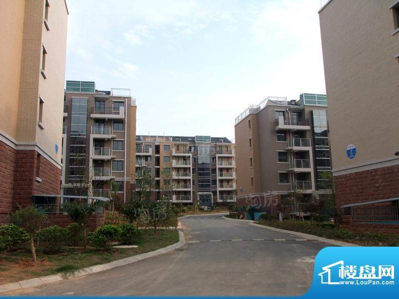 凤凰花园配套图