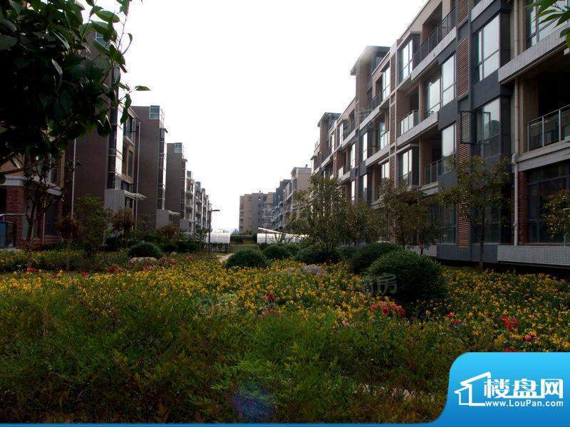 凤凰花园配套图