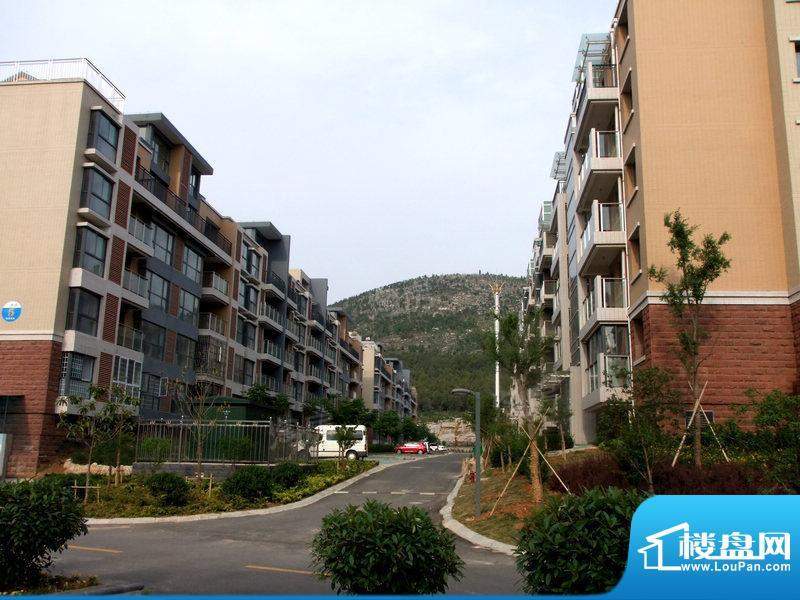 凤凰花园配套图