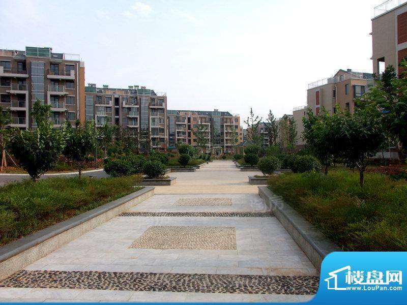 凤凰花园配套图