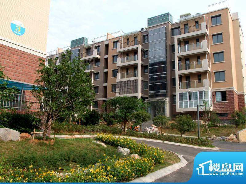 凤凰花园配套图