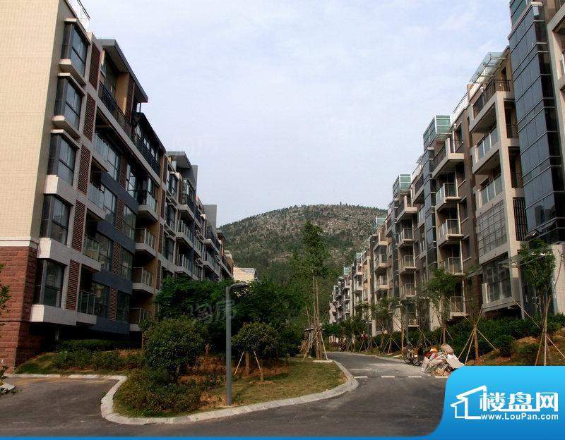 凤凰花园配套图