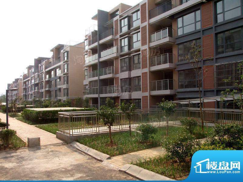 凤凰花园配套图